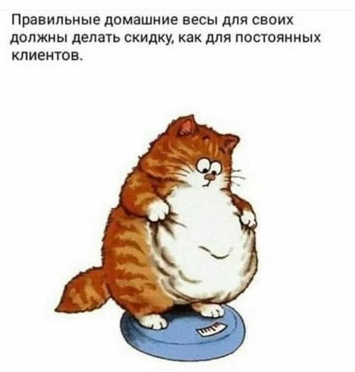 Правильные домашние весы для своих должны делать скидку как для постоянных клиентов