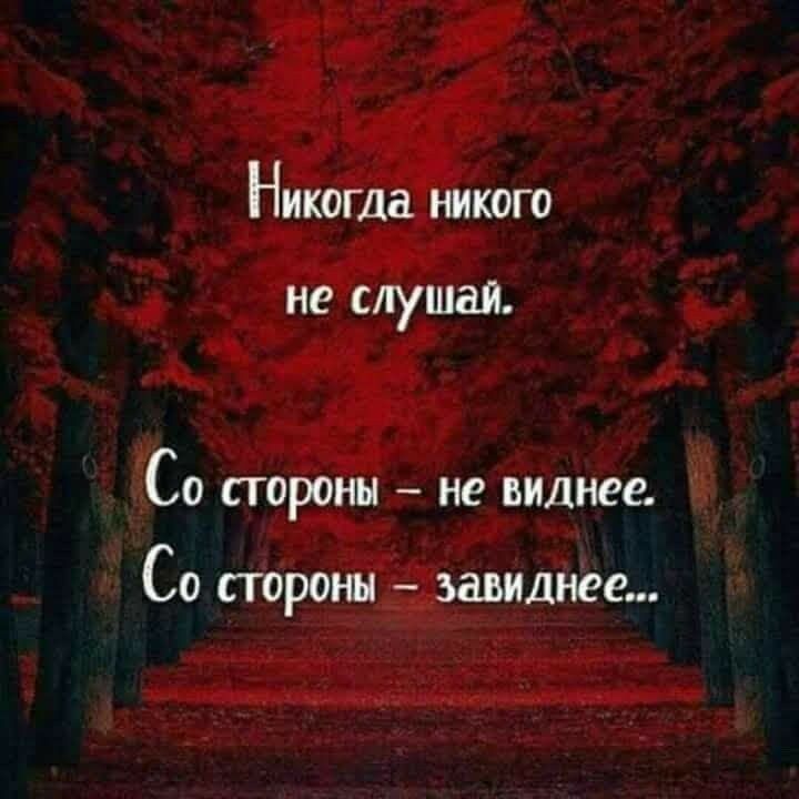 Никогд никого не слуша.и. Со стороны  не виднее. Со стороны  завиднее...