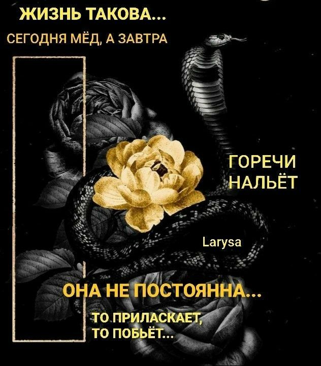 жизнь ТАКОВА СЕГОДНЯ МЁД А ЗАВТРА АЛЬЁТ Ёо пр ЛЁЁЁЁ _ _ то по