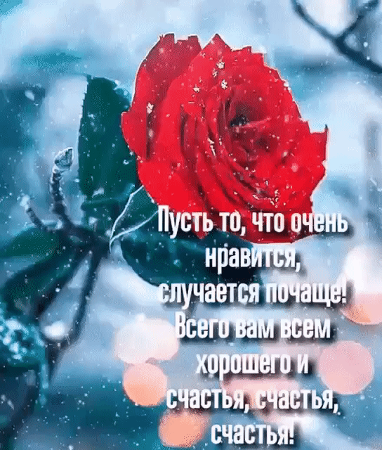Корошето т ч