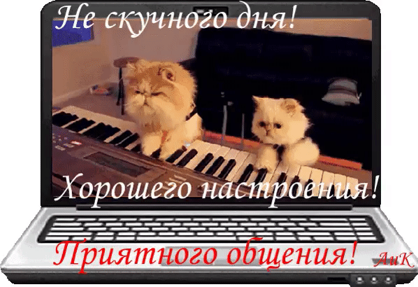 Нескучногодня! Ж чщ.. Ъё ы д хорошего настродитт!