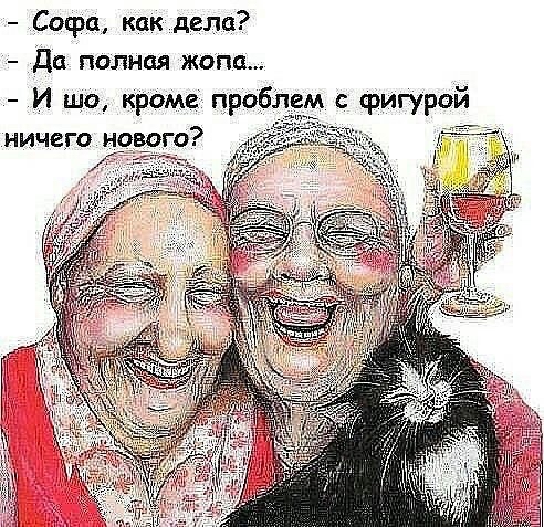 софа, как дела?  Да полная жопа...  И шо, кроме проблем с фигурои ничего но!