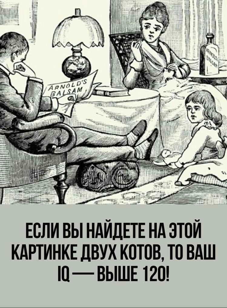 Если вы найдете на этой картинке двух котов, то ваш 10  выше 120!
