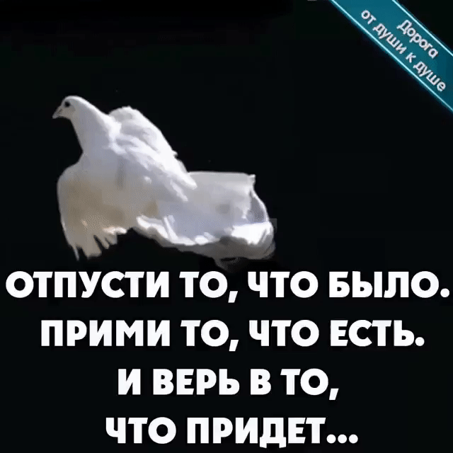 ОТ ПУСТ И ТО ЧТО БЫЛО ПРИМИ ТО ЧТО ЕСТЬ И ВЕРЪ В ТО ЧТО ПРИдЕі