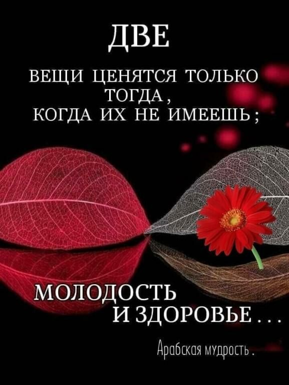 ДВЕ ВЕЩИ ЦЕНЯТСЯ только ТОГДА КОГДА ИХ НЕ ИМЕЕШЬ молодость издоровьв Арабская мудрить