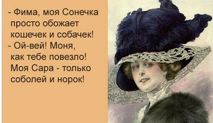 Фима моя Сонечка просто обожает кошечек и собачек Ой вей Моня как тебе повезло Моя Сара только собопей и норок