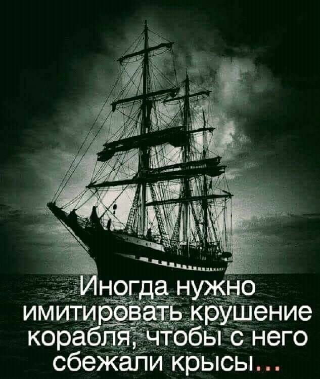 имитирев корабп сбеЖапи Крысы