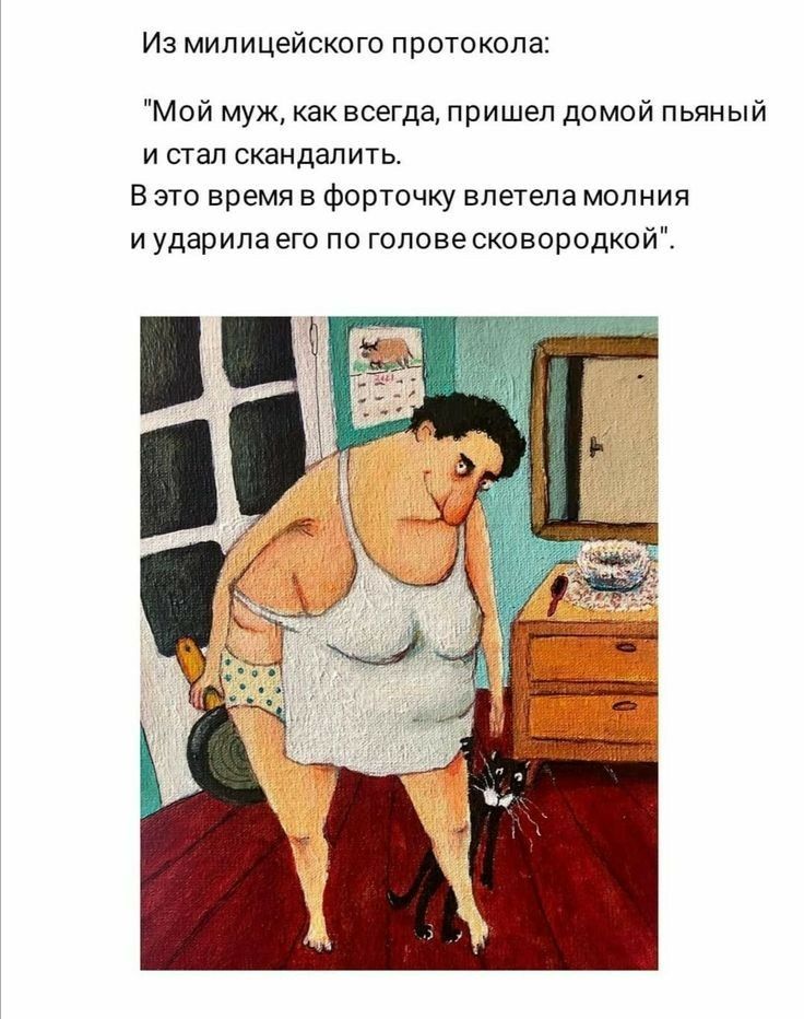 Из милицейского протокола Мой муж как всегда пришел домой пьяный и стал скандалить В это время в форточку влетела молния и ударила его по голове сковородкой