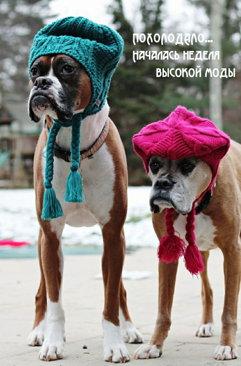 60 пдчдпдч ВЫСОКО