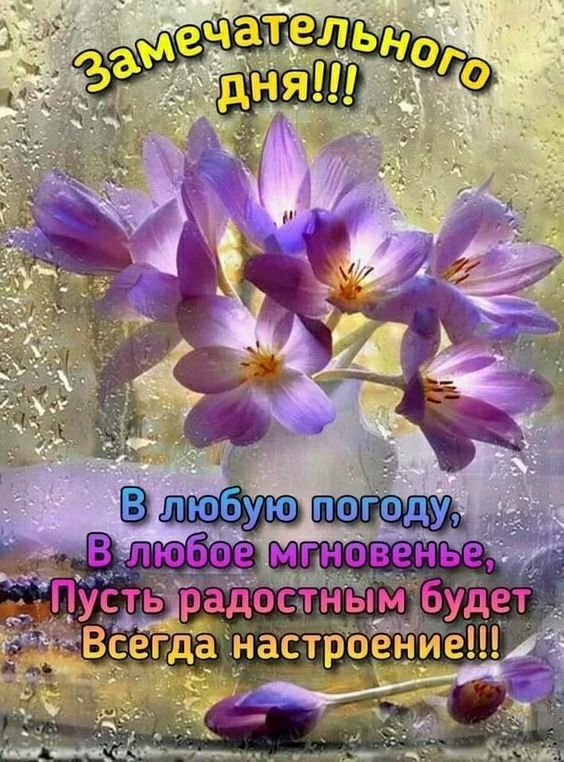 Зг _ _ ГОт ду