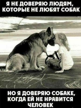 Я НЕ дОВЕРЯЮ ЛЮДЯМ КОТОРЫЕ НЕ ЛЮБЯТ СОБАК О Я дОВЕРЯЮ СОБАКЕ КОГМ ЕЙ НЕ НРАВИТСЯ ЧЕЛОВЕК