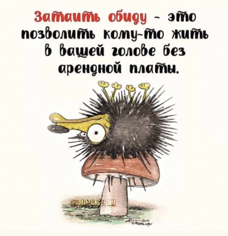 витать 061199 это позболцть котуто жить пщей юлобе без препоны платы п