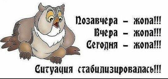 позавчера жопа Вчера жопа _ сегодня жопа Ситуация стабилизировапш