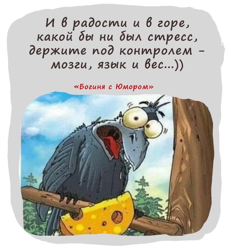 И 6 радости и 6 горе, какой дбы ни дыл стресс, держите под кониролем  мозги, язык и вес... «богиня с юмором».