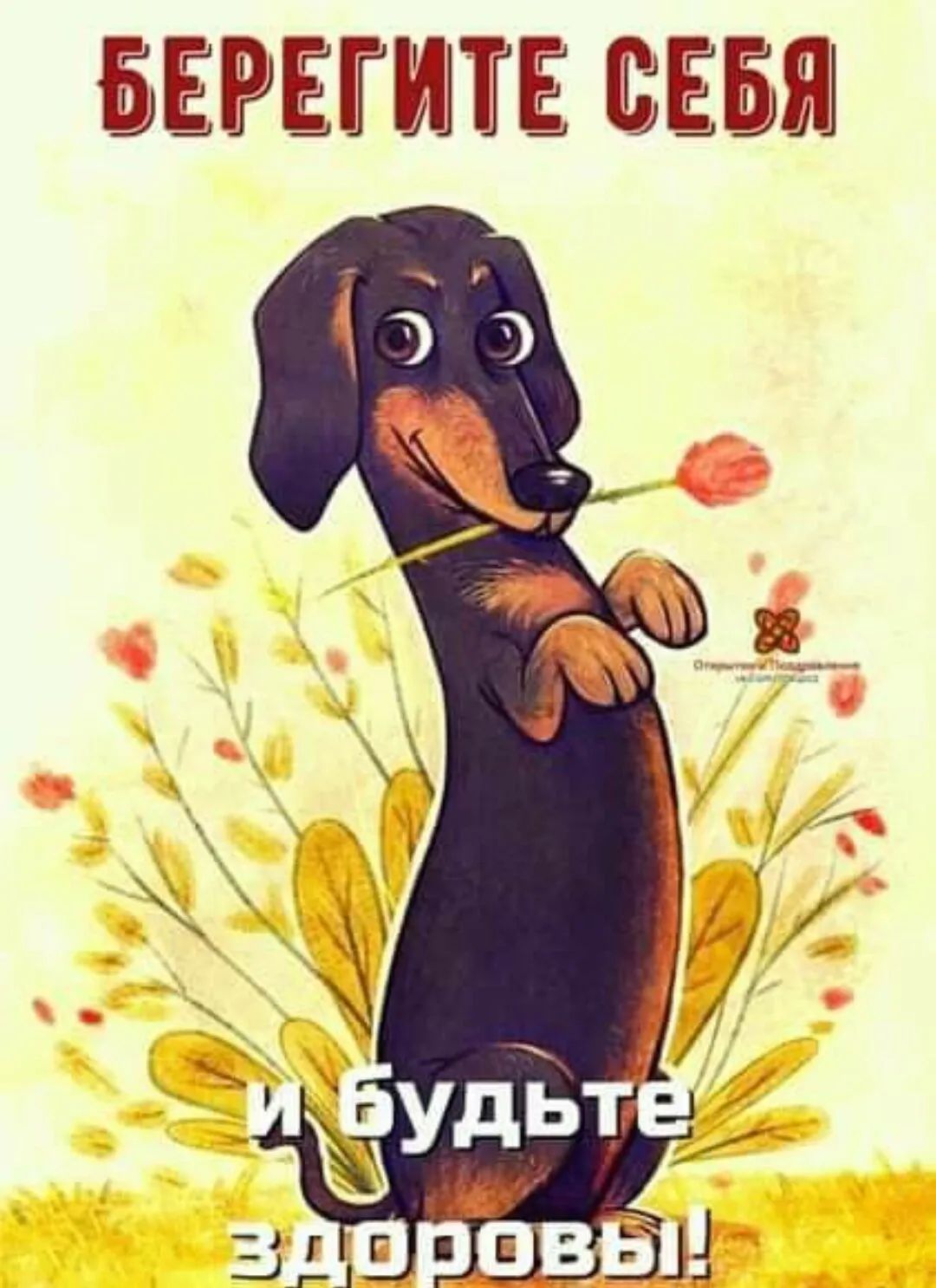 Берегите себя