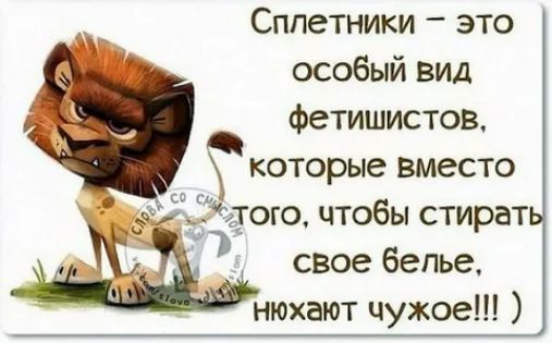 Сппетники это особый вид фетишистов которые вместо стого чтобы стират Т свое белье нюхают чужое