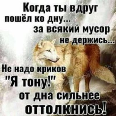 Когда ты вдруг ППШЁЛ КО дну за всякий мусор Не надо криков _ пя тону Г от диа СИ Л жне оттолюнись