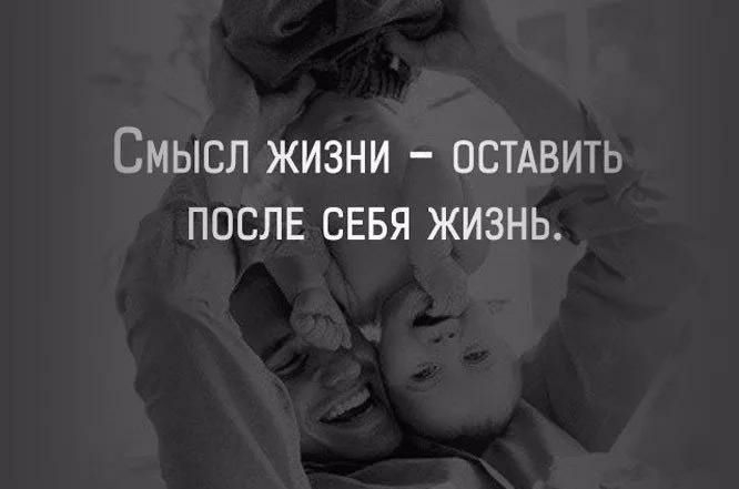 Смысл жизни пстдвить после севя жизнь