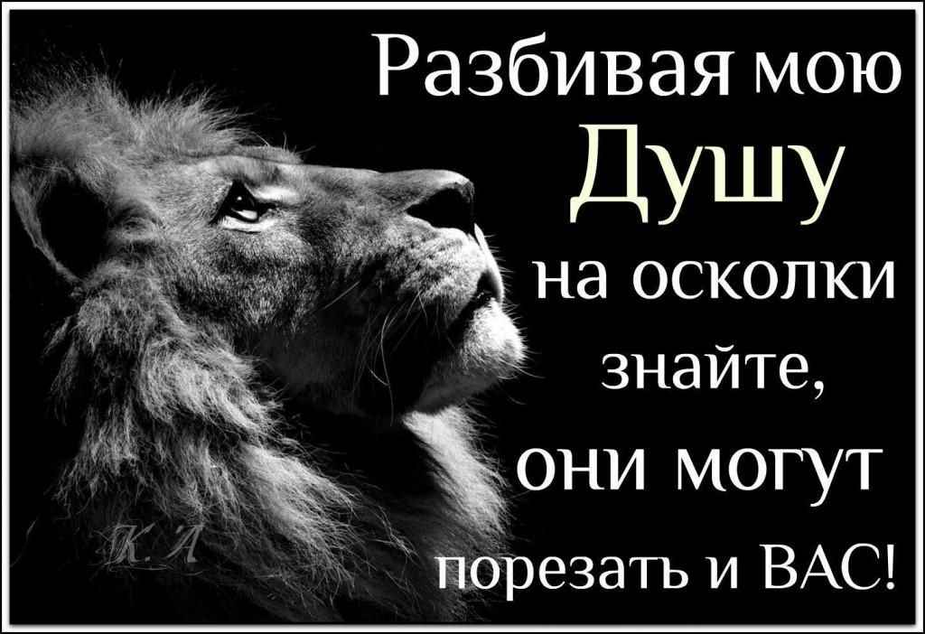 Разбивая мою Душу З на осколки знайте они могут Ёбрезать и ВАС