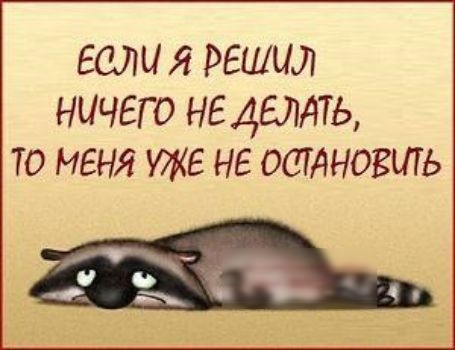 если я решил ничего не млять то меня уже не осиновшь ц