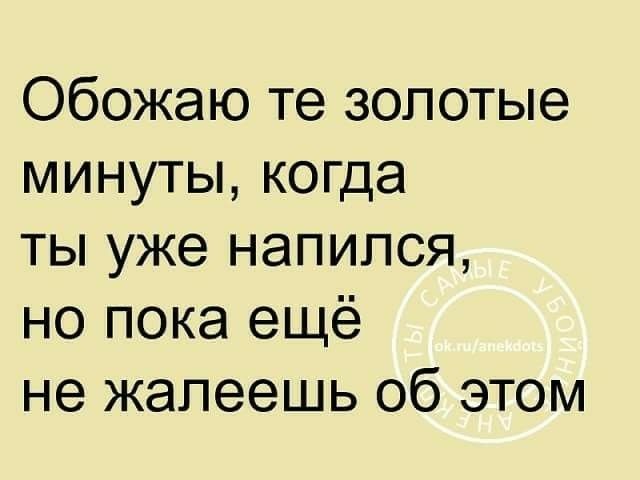 Обожаю те золотые минуты когда ты уже напился но пока ещё не жалеешь об этом