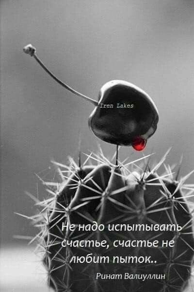 Ринат Валиуллин