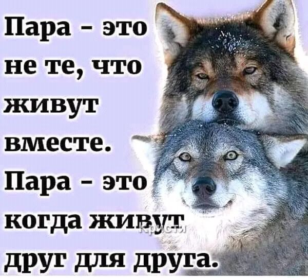 Пара это не те что живут вместе Пара это когда живут дРУ1 для друга