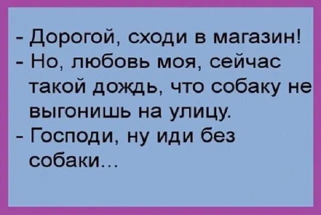 Дорогой сходи в магазин Но любовь моя сейчас такой дождь что собаку не выгонишь на улицу Господи ну иди без собаки
