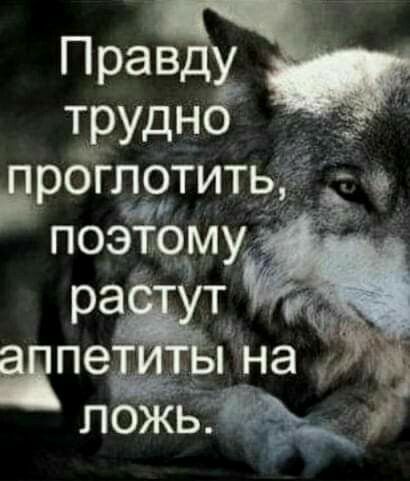 Прав тЕудн дропэдсдтитр поэщму