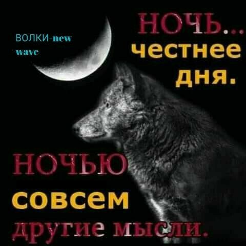ВОПКИ гие Н 0 Ч Ь Ч естн ее д Н Я А і _ ночью и совсем другие мысДн
