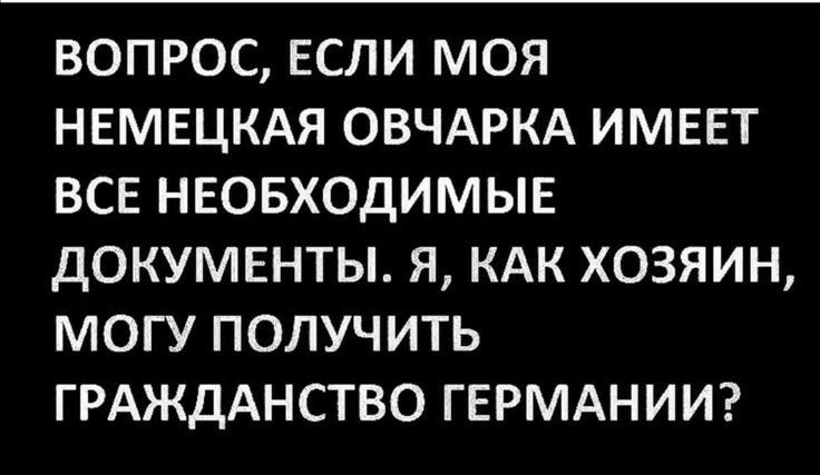 ВОПРОС ЕСЛИ МОЯ НЕМЕЦКАЯ ОВЧАРКА ИМЕЕТ ВСЕ НЕОБХОДИМЫЕ ДОКУМЕНТЫ Я КАК ХОЗЯИН МОГУ ПОЛУЧИТЬ ГРАЖДАНСТВО ГЕРМАНИИ