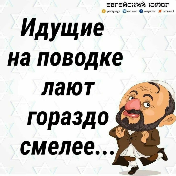 ЕЕРЕЙСКИЙ ЮМОР 0 Идущие на поводке лают гораздо смелее
