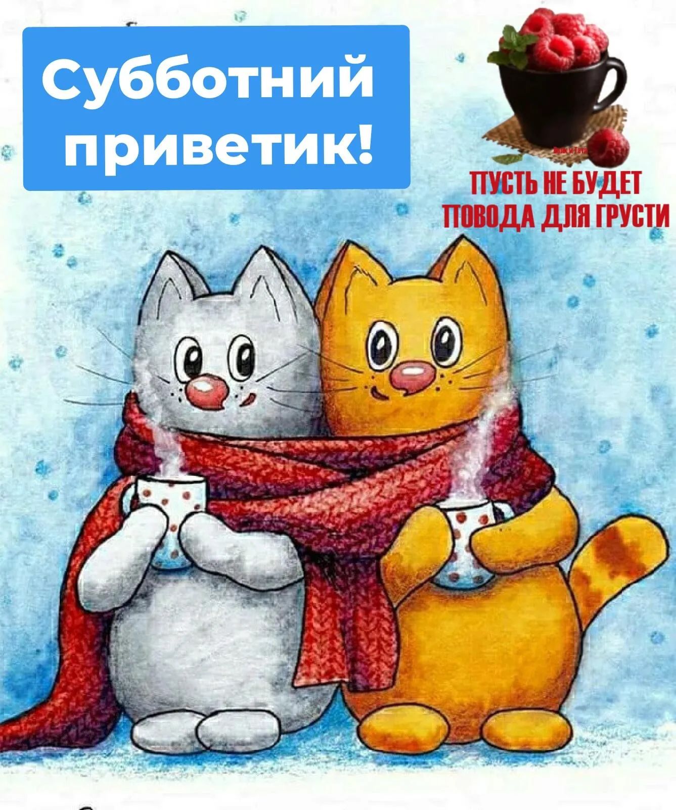 пит НЕ БУДЕТ поводя для грусти