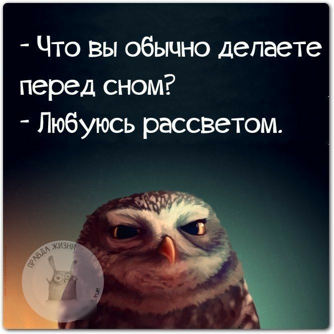 Рассвет: истории из жизни, советы, новости, юмор и картинки — Лучшее | Пикабу