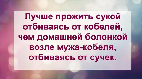 Лучше прожить сукой отбиваясь от кобелей чем домашней болонкой возле мужакобеля отбиваясь от сучек