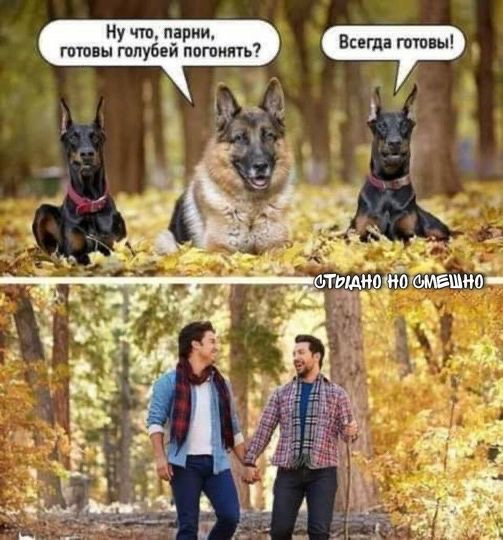 Ну т пар л