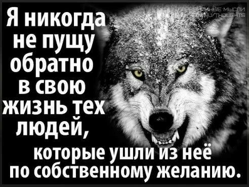 Я никогда не пущу обратно в свою жизнь тех людей, ч е ' которые ушли из не по собствеиному желанию.
