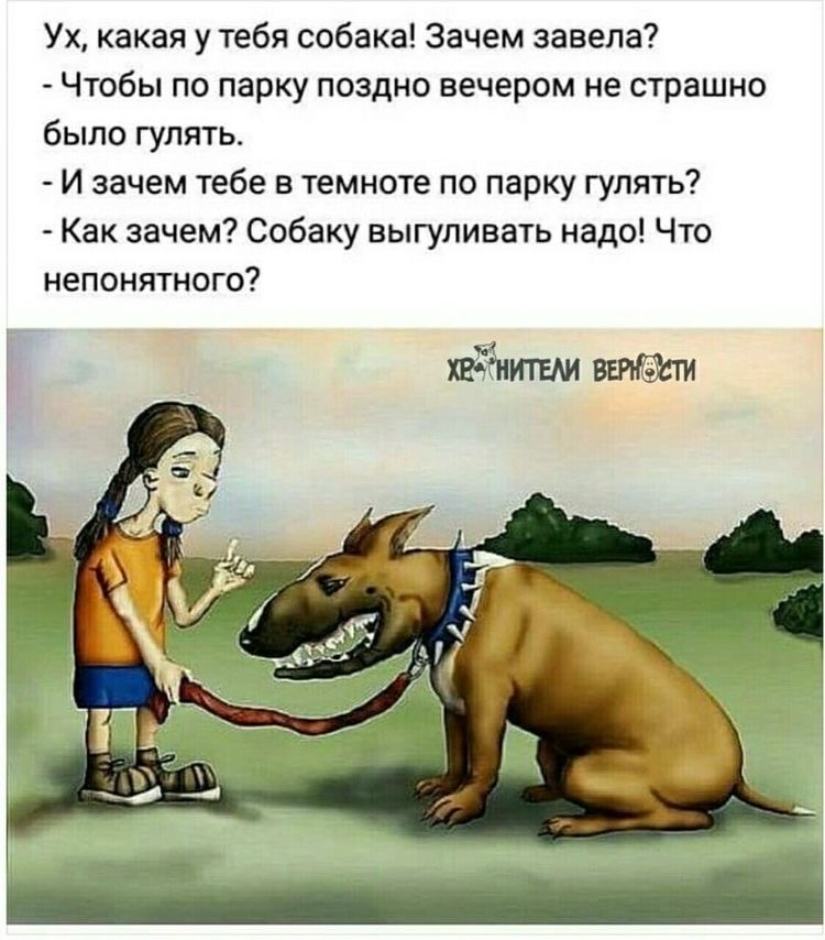 Ух какая утебя собака Зачем завела Чтобы по парку поздно вечером не страшно было гулять И зачем тебе в темноте по парку гулять Как зачем Собаку выгуливать надо Что непонятного хидмтшшдсти
