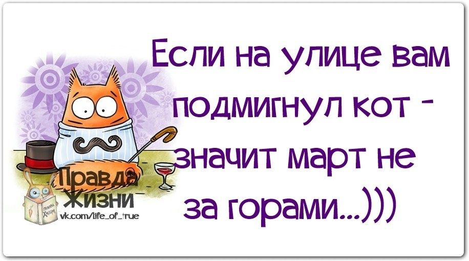 _ Если на улице вам 7 подмигнуп кот ачит март не за горами