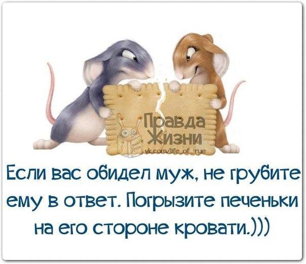 Если вас обидел муж не грубите ему в отзет Погрызите печеньки на его стороне кровати