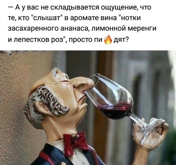 А у вас не складывается ощущение что те кто слышат в аромате вина нотки засахаренного ананаса лимонной меренги и лепестков роз просто пи дят