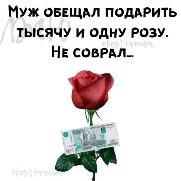 Муж оввщдл поддрить тысячу и одну розу НЕ совпал а ц
