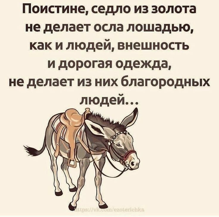 Поистине седло из золота не делает осла лошадью как и людей внешность и дорогая одежда не делает из них благородных