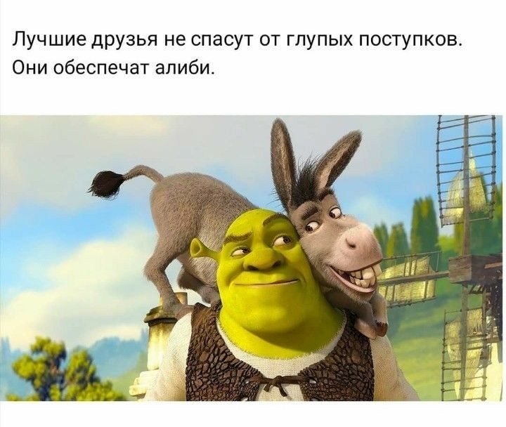Лучшие друзья не спасут от глупых поступков Оми обеспечат алиби