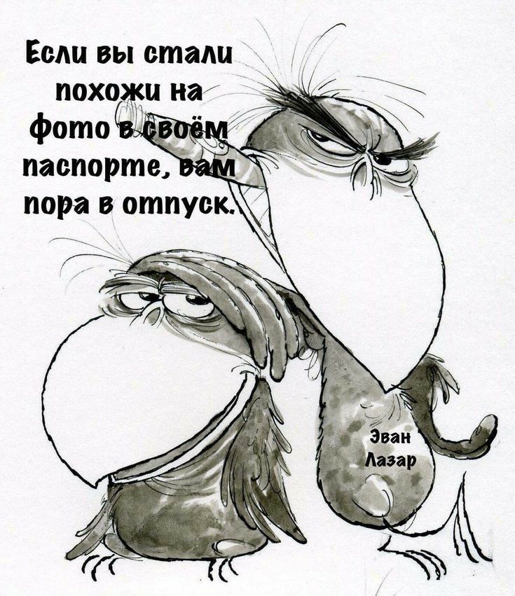 Если вы стали