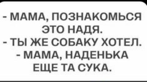 г МАМА ПОЗНАКОМЬСЯ ЭТО НАДЯ ТЫ ЖЕ СОБАКУ ХОТЕЛ МАМА НАДЕНЬКА ЕЩЕ ТА СУКА