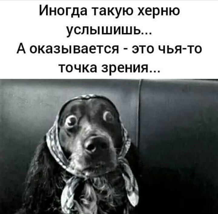 Ино такую херню услышишь А оказывается это чьято Точка зрения