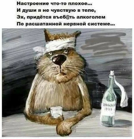 н ыриии что п плохо и души и не чунспую тем эн придбтвя пью шпионом По внешн иной пер ной сцепив
