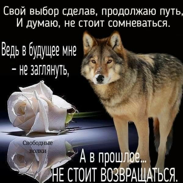 Свой выбор сделав продолжаю путь И думаю не стоит сомневаться Ведь в будущее мне в к
