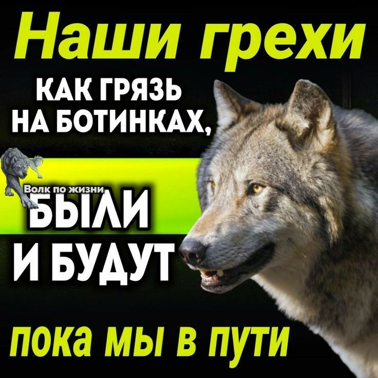 кж грязь 3 ндвотинкдх ЁЁіЖИ